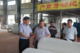 肖立新深入桃江縣環宇紡織新材料科技走訪調研，共謀紡織科技研究服務新篇章