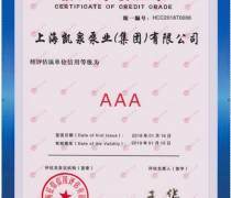 平頂山企業(yè)信用評級 信用等級評估與服務(wù)價值解析